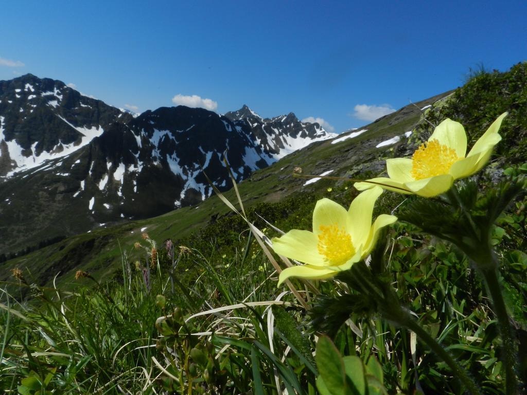 Alpasella Ferienwohnungen Sankt Gallenkirch Exterior foto